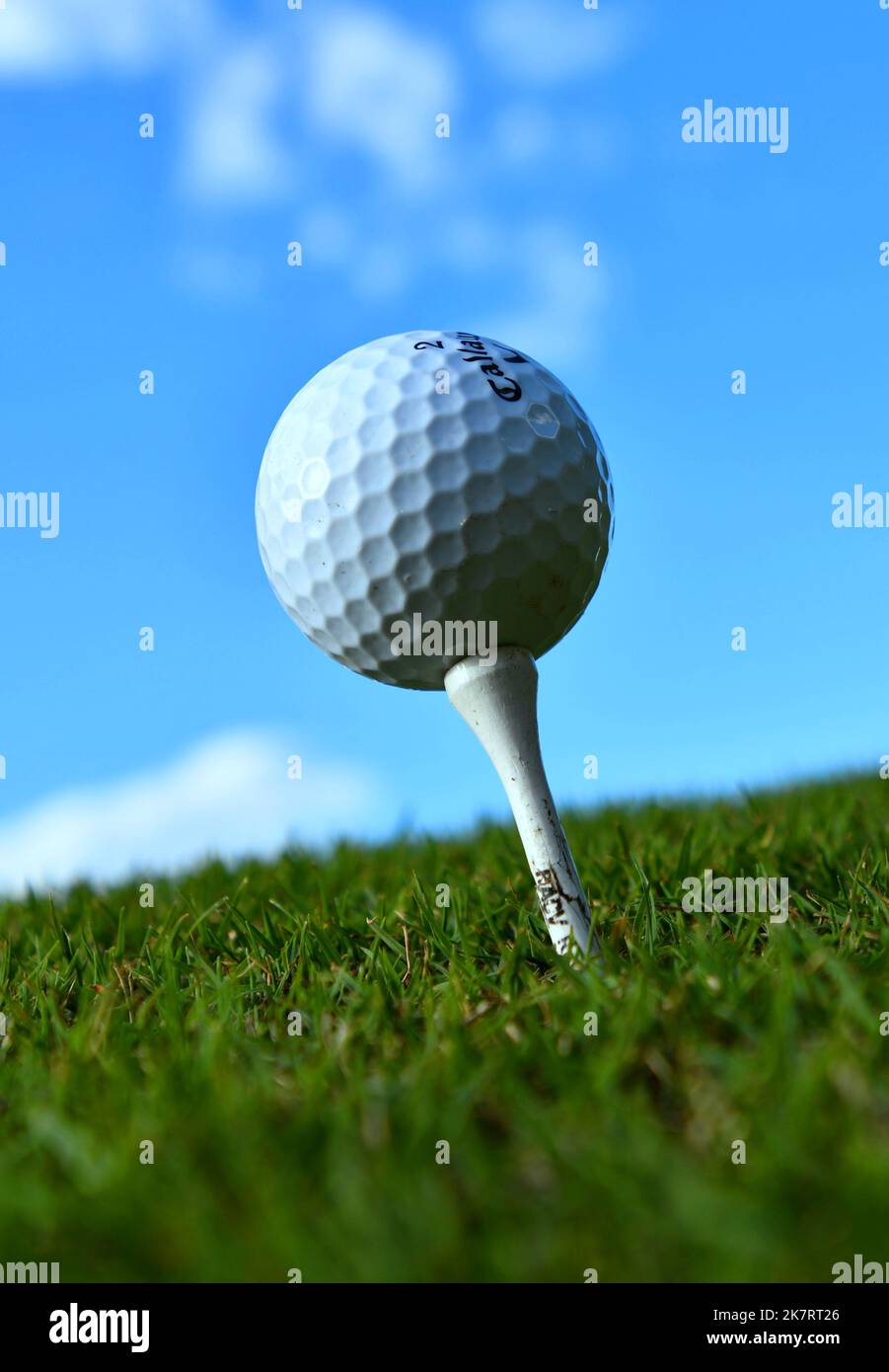 Ocean Life Golf Stock Photo Alamy ocean-life-golf-stock-photo-alamy