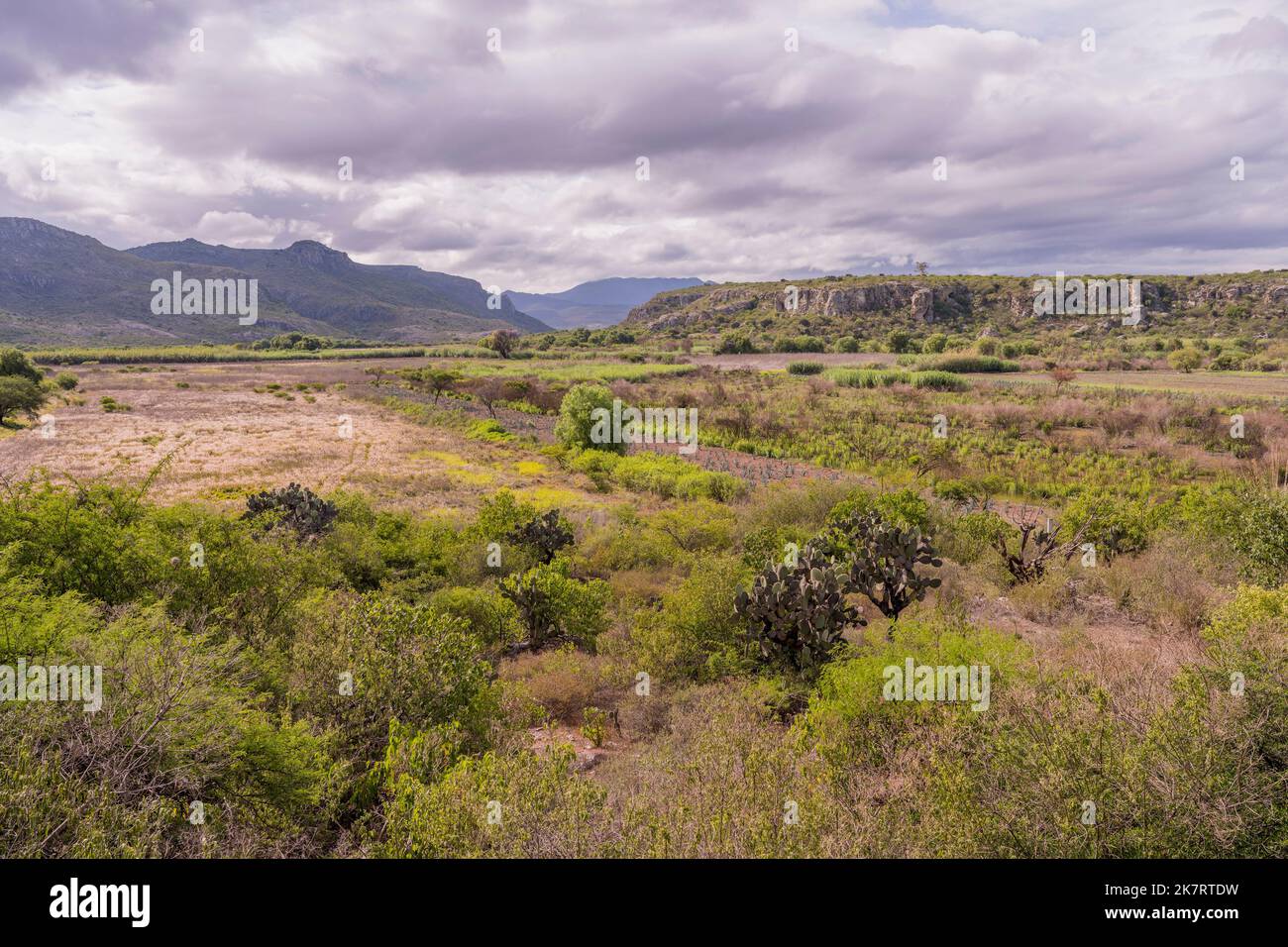 View of the landscape near the archaeological site of Yagul (known as ...