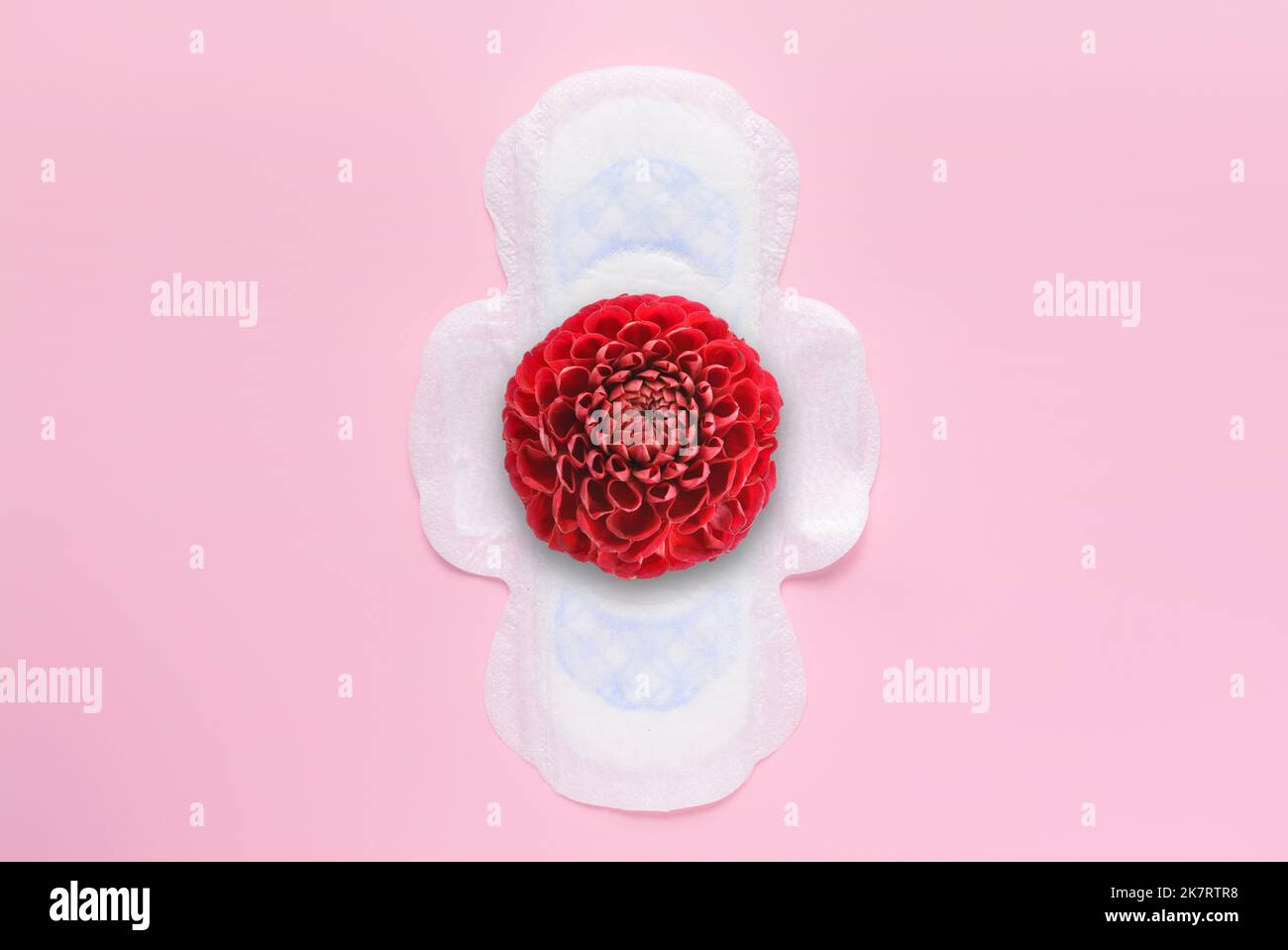 Menstrual pad with red flower on pink background Stock Photo