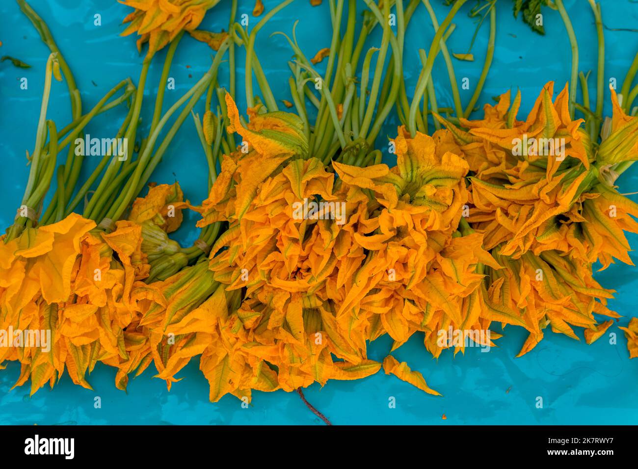 Squash flowers for sale on the daily market in Teotitlan del Valle, a small town in the Valles Centrales Region near Oaxaca, southern Mexico. Stock Photo