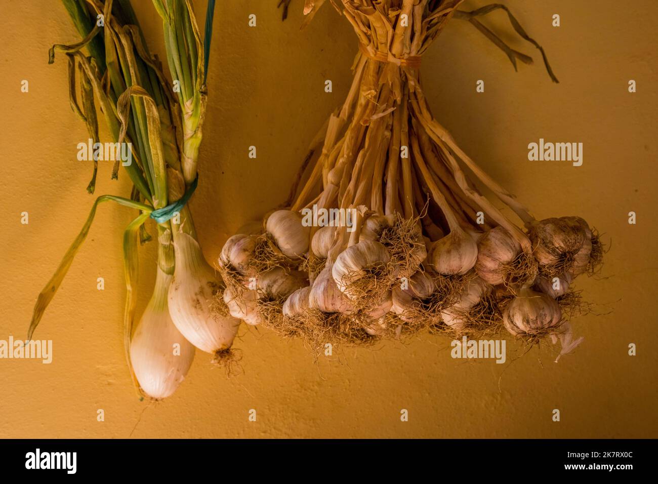 Garlic and onions hanging on the wall of the El Sabor Zapoteco cooking school in Teotitlan del Valle, a small town in the Valles Centrales Region near Stock Photo