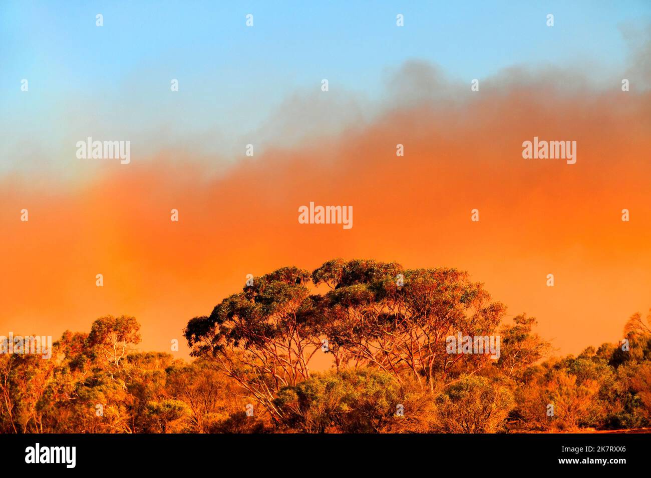 Red dust storm in Australian Outback, Mukinbudin, Western Australia Stock Photo