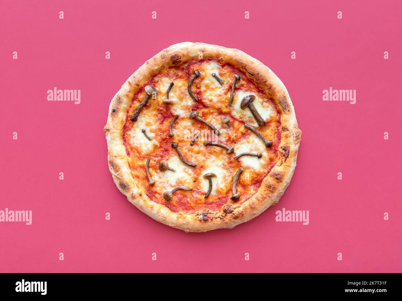 Above view with a freshly baked pizza minimalist on a dark pink table. Vegetarian pizza with wild edible mushrooms, tomato sauce, and mozzarella Stock Photo