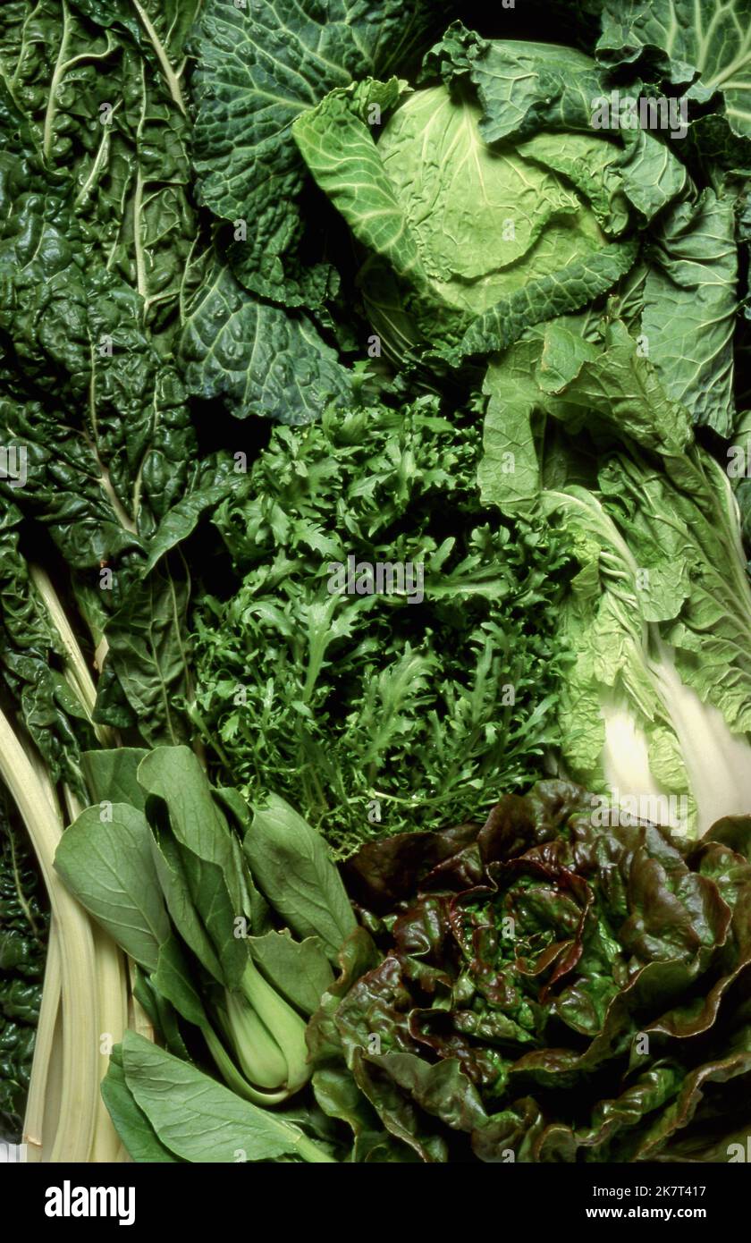 ASSORTED GREEN VEGETABLES, SILVERBEET, BOK CHOY, LETTUCE, ENDIVE, CHINESE CABBAGE AND CABBAGE. Stock Photo