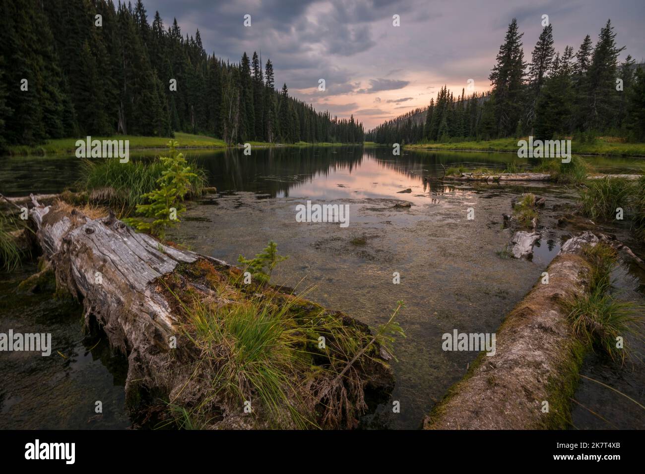 Hoodoo Lake, scenic landscape, Elk Summit, Idaho County, Clearwater National Forest, Powell, Idaho, USA Stock Photo