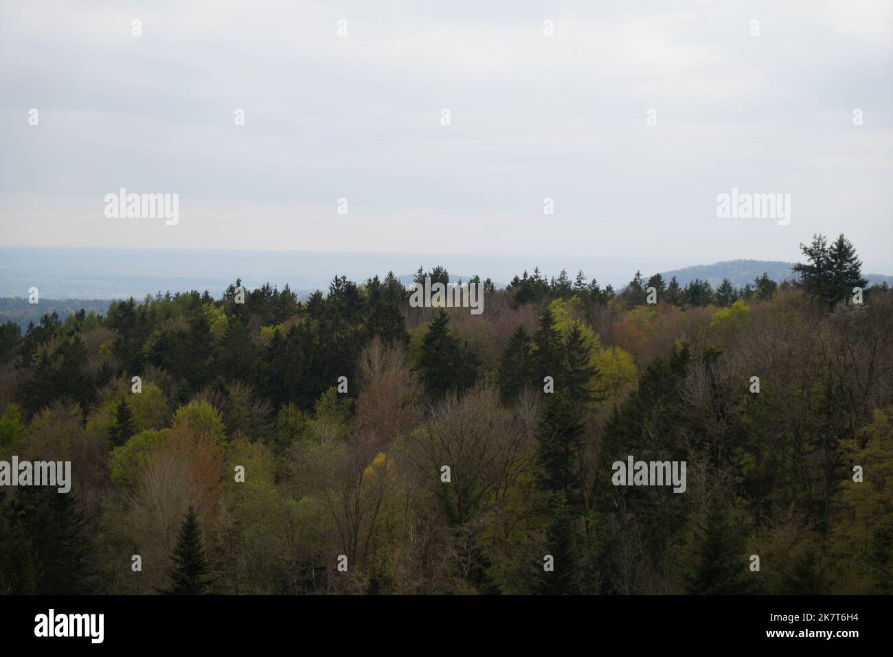 Landscape photos clouds and blue sky in the Bavarian Forest with ...