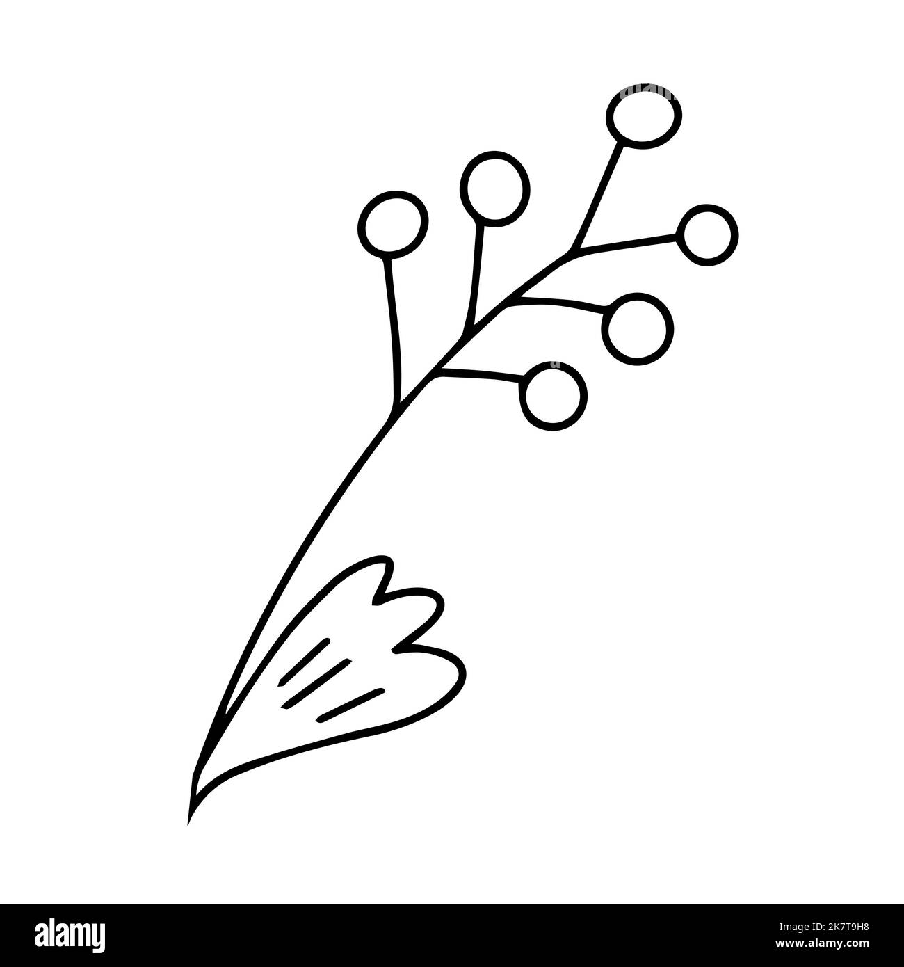 Delicate sketch of a spring flower. Vector illustration in hand drawn