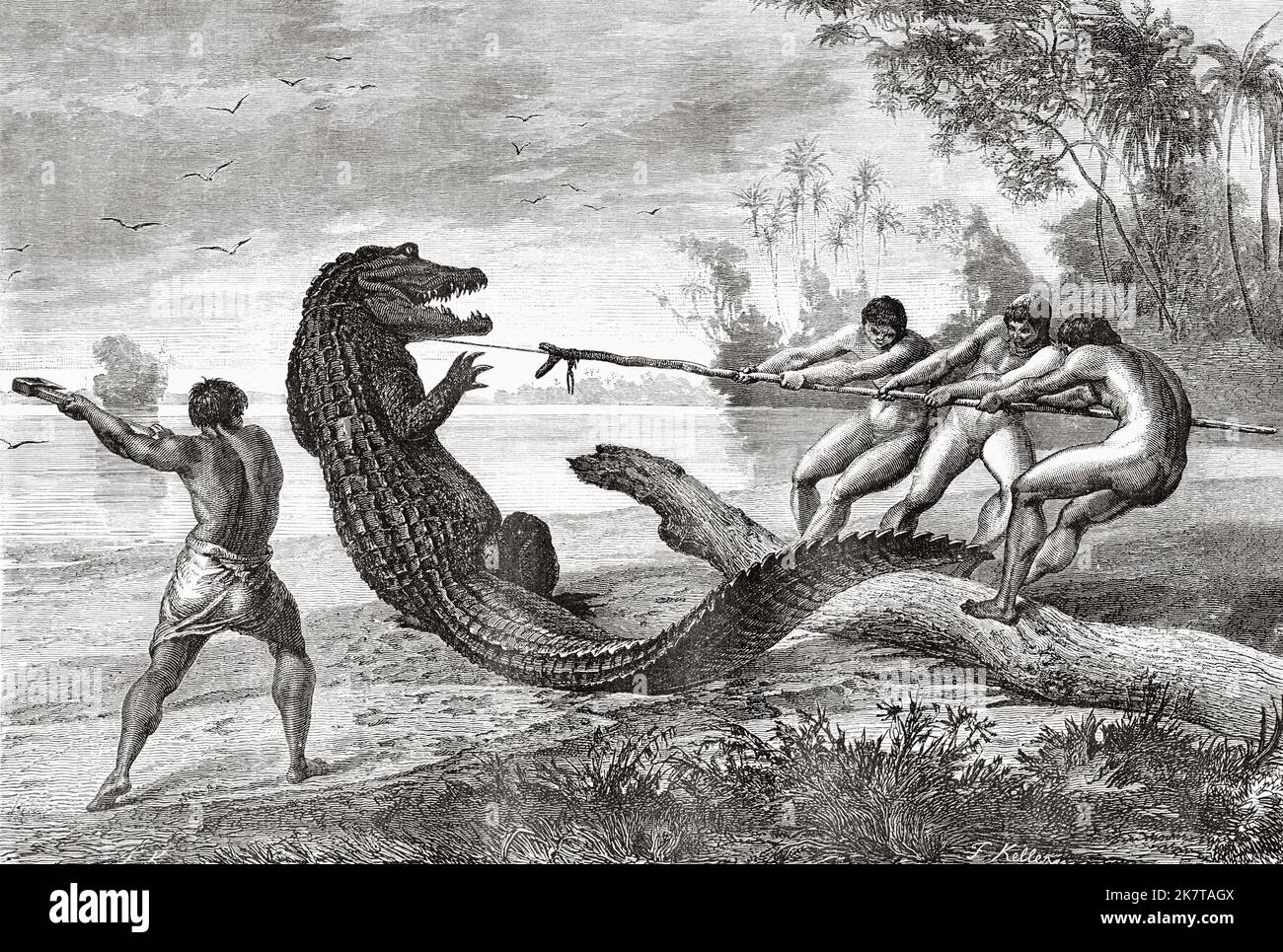 Indigenous people killing an alligator, Brazil, South America. Exploration of the Rivers Amazon and Madeira in the Brazilian Empire by Franz Keller-Leuzinger, 1867 Stock Photo