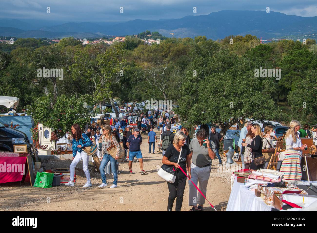 People browsing at Jas de Robert Antiques Market near Cogolin, in the Var department of the Provence-Alpes-Côte d'Azur region in Southern France. Stock Photo
