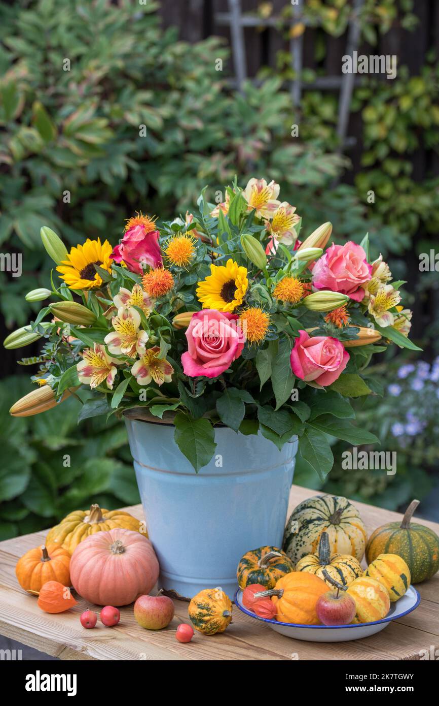 bouquet with pink roses, sunflowers, lily flowers and safflowers in vintage bucket in autumn garden Stock Photo