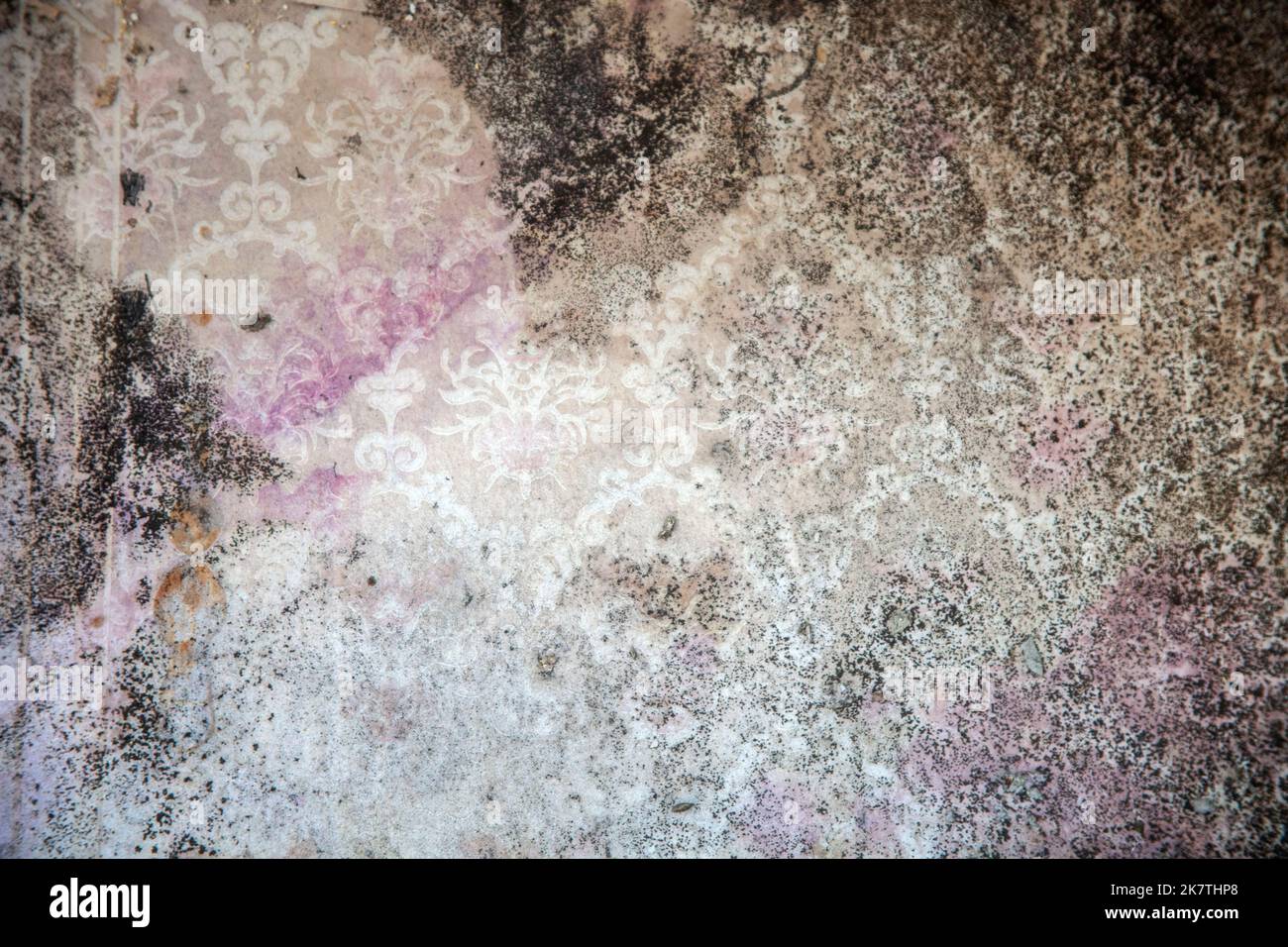 Shabby dirty wallpaper Stock Photo - Alamy