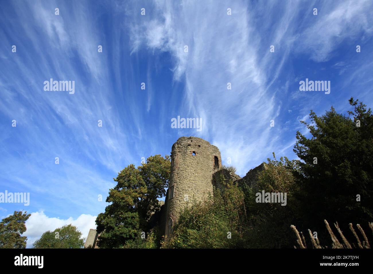 Ludlow castle walls, Ludlow, Shropshire, England, UK. Stock Photo