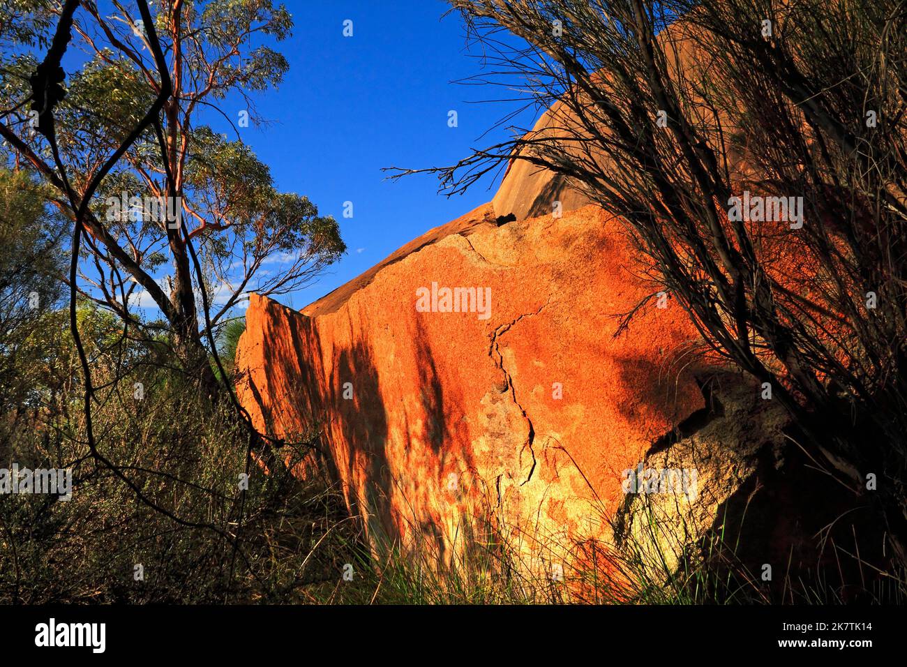 Red granite wall of Elachbutting Rock near Muckinbudin, Eastern wheat