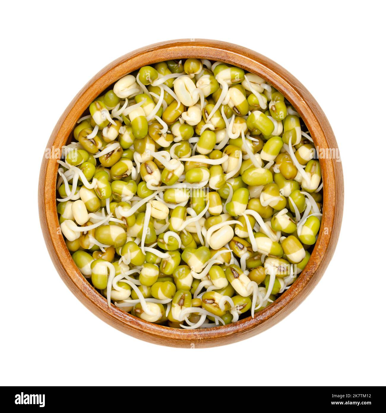 Sprouted mung beans in wooden bowl. Mung bean sprouts, vegetable, grown by sprouting Vigna radiata, also known as green gram, maash, monggo or munggo. Stock Photo