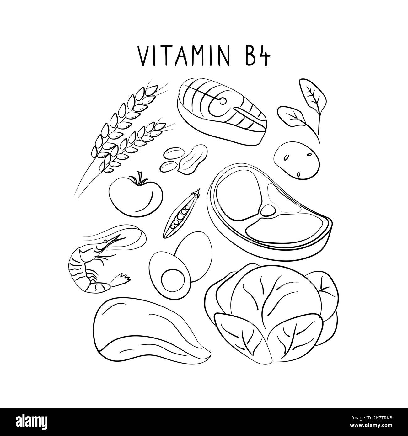 Vitamin B4 Choline. Groups of healthy products containing vitamins. Set