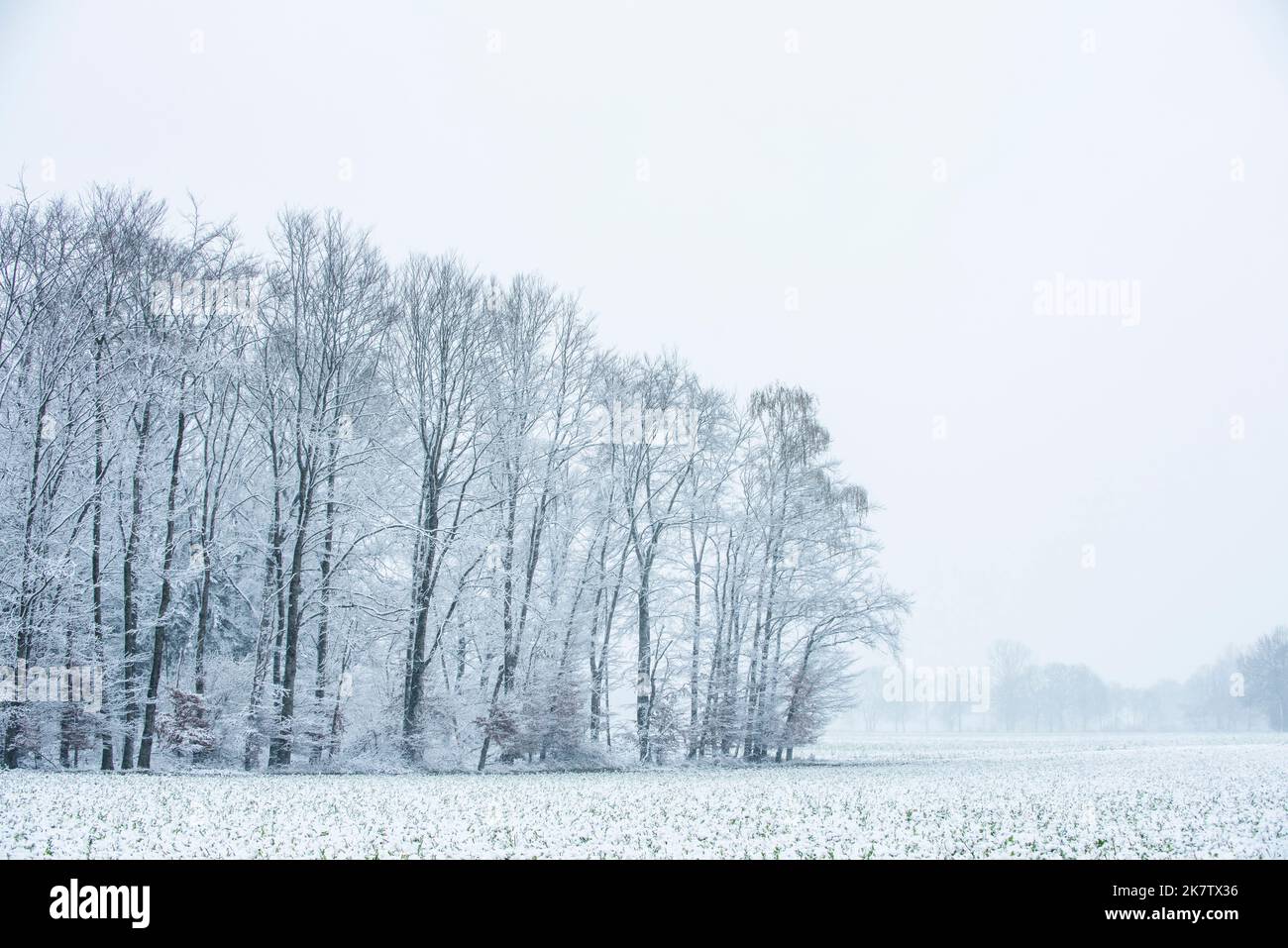 Winterlandschaft Stock Photo