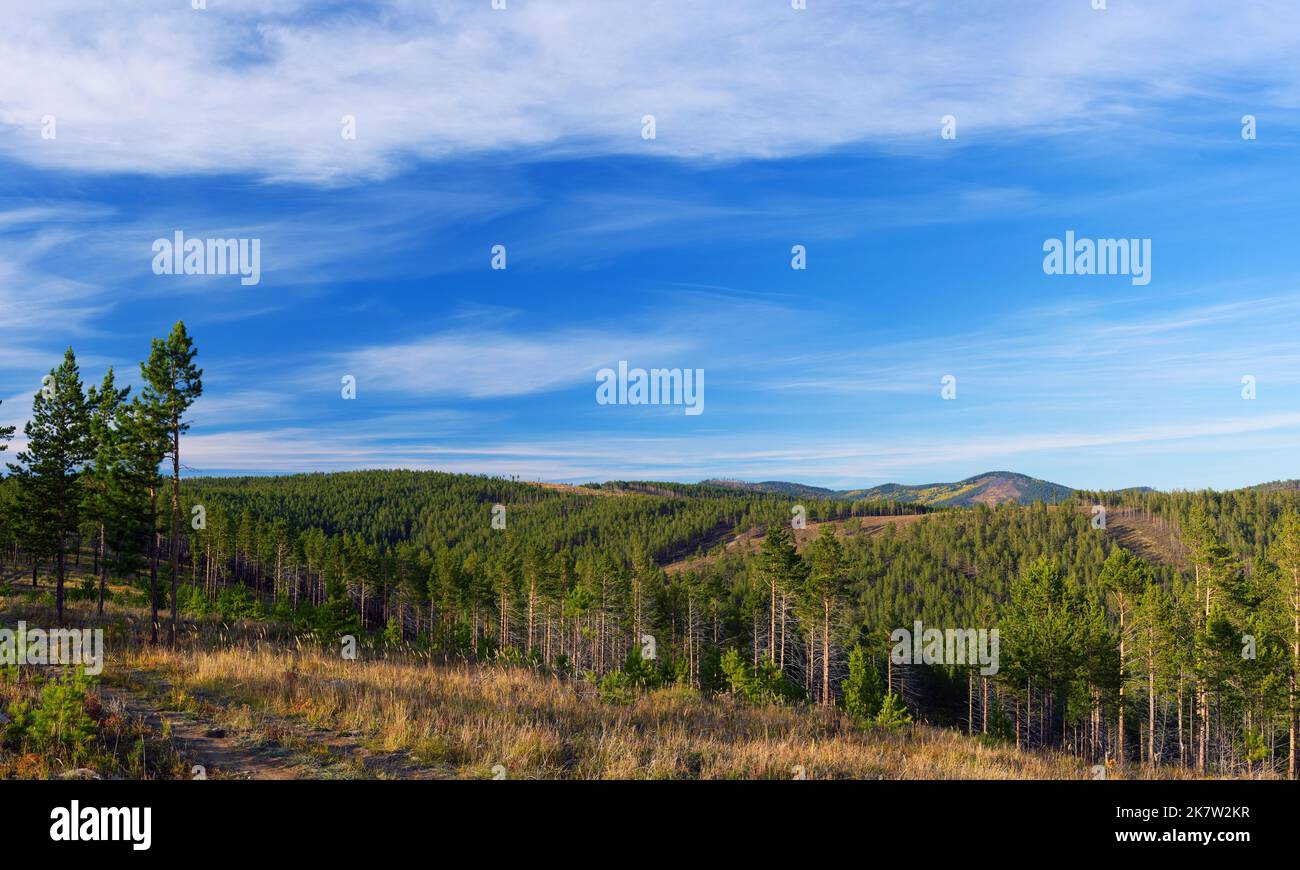 View of Siberian taiga in June. Stolby Nature Sanctuary (Pillars). Krasnoyarsk region. Russia Stock Photo