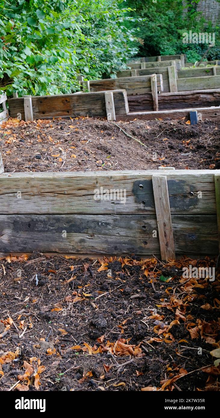 Large wooden compost bins in an English garden John Gollop Stock