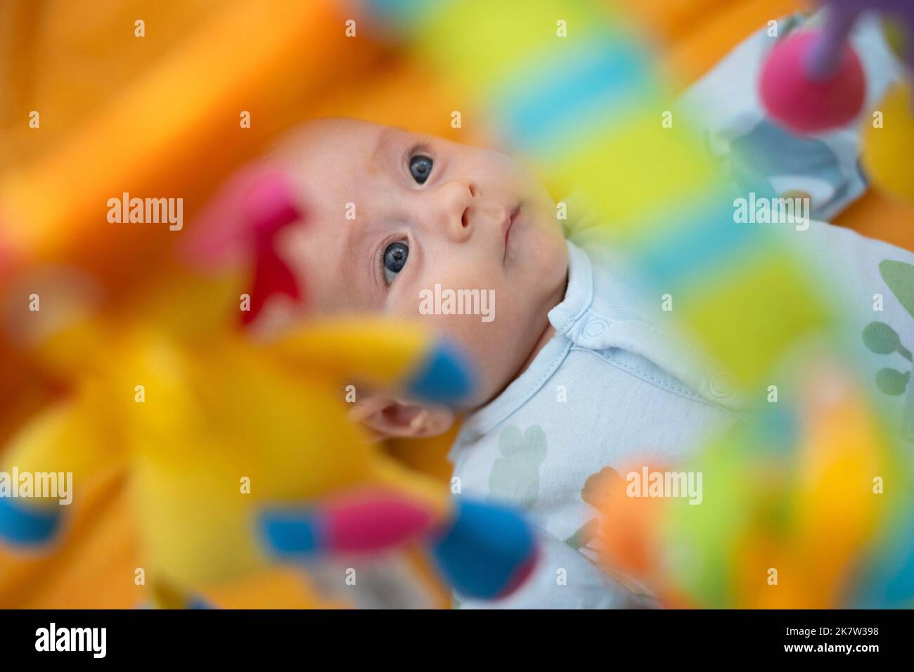 Baby playing on colorful play gym Stock Photo