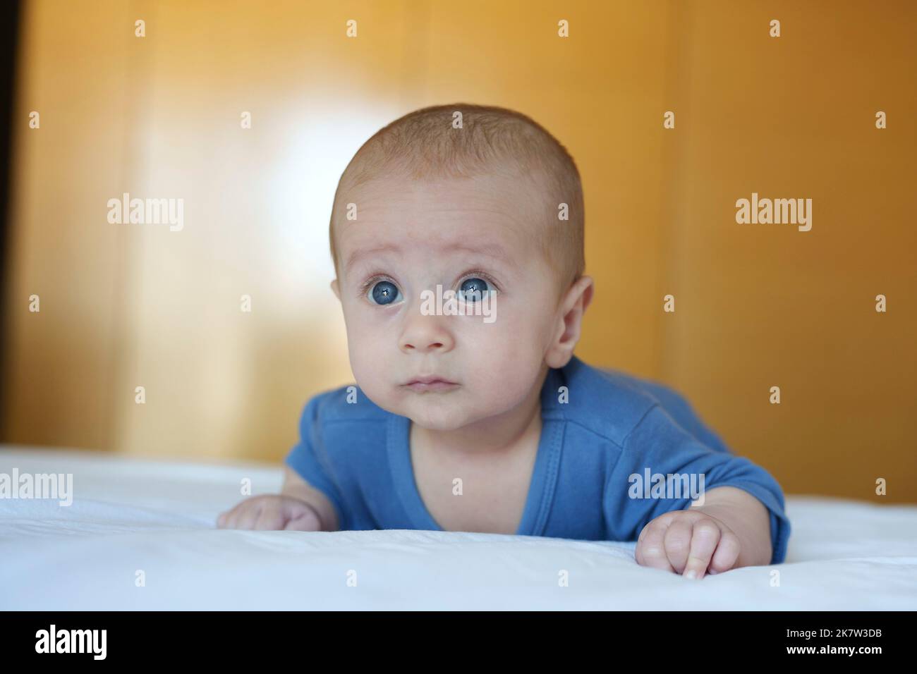 4 months old baby with blue eyes wide open with curiosity Stock Photo