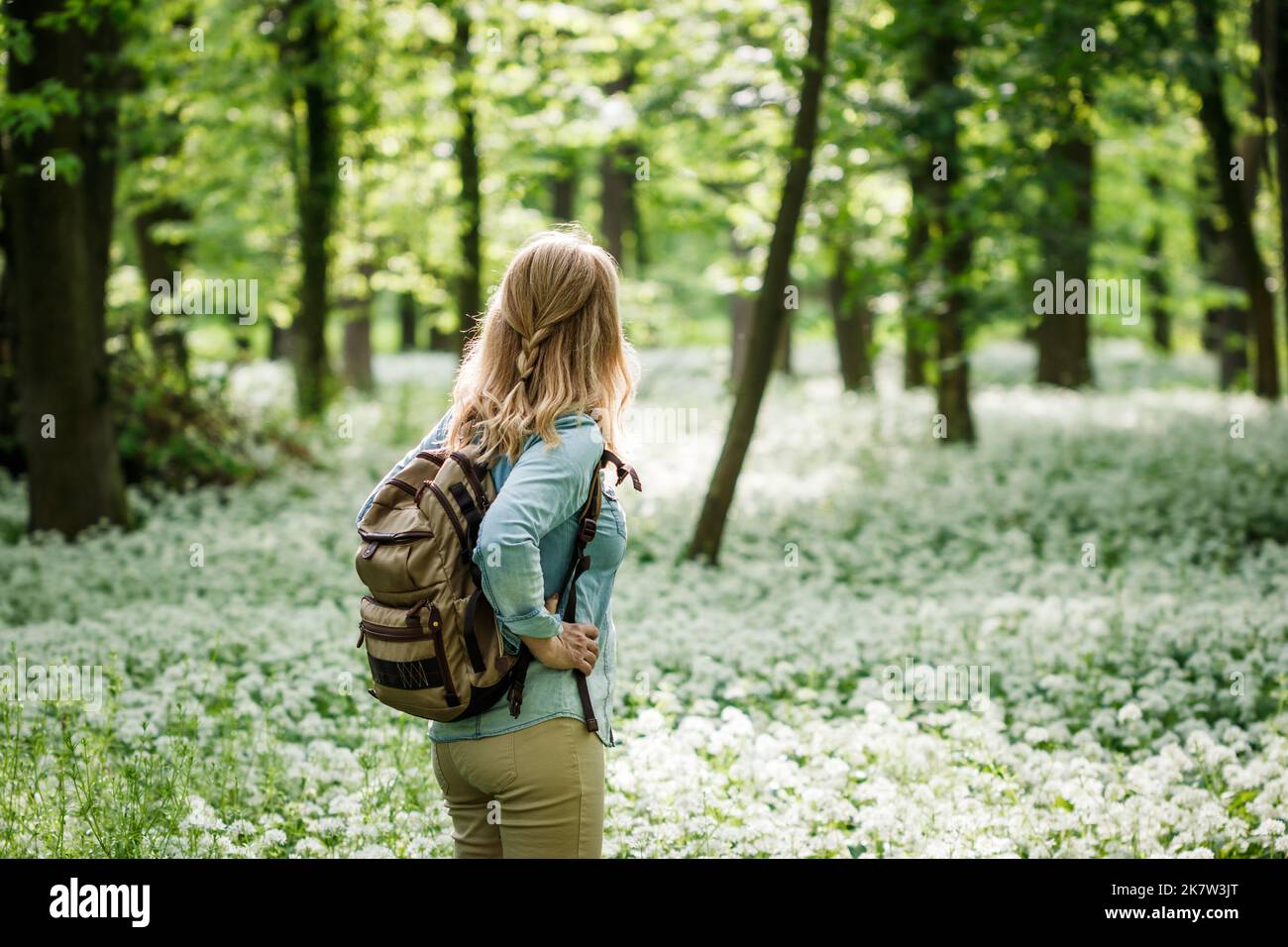 Tourist woman with backpack hiking in forest at spring. Woodland with ...