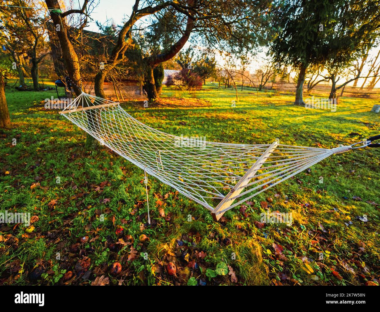 hammock hanging in a backyard of countryside farmhouse in a autumn season, wide angle view Stock Photo