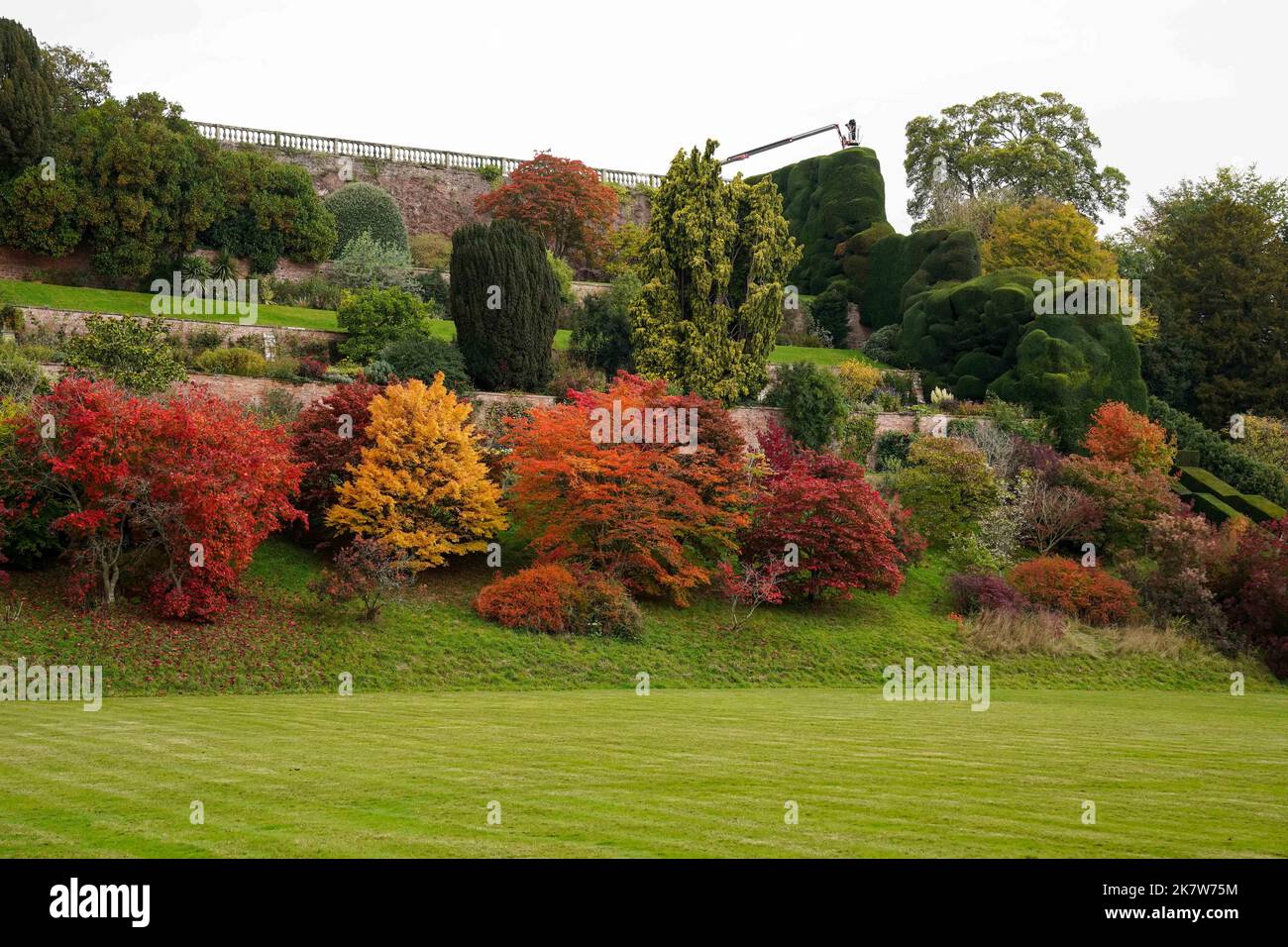 national-trust-gardener-dan-bull-works-from-a-cherry-picker-to-trim-a