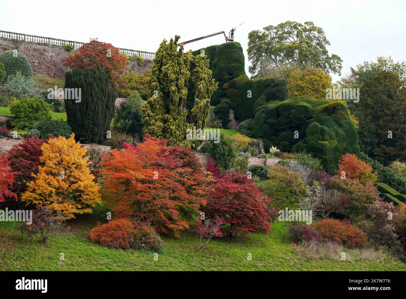 national-trust-gardener-dan-bull-works-from-a-cherry-picker-to-trim-a