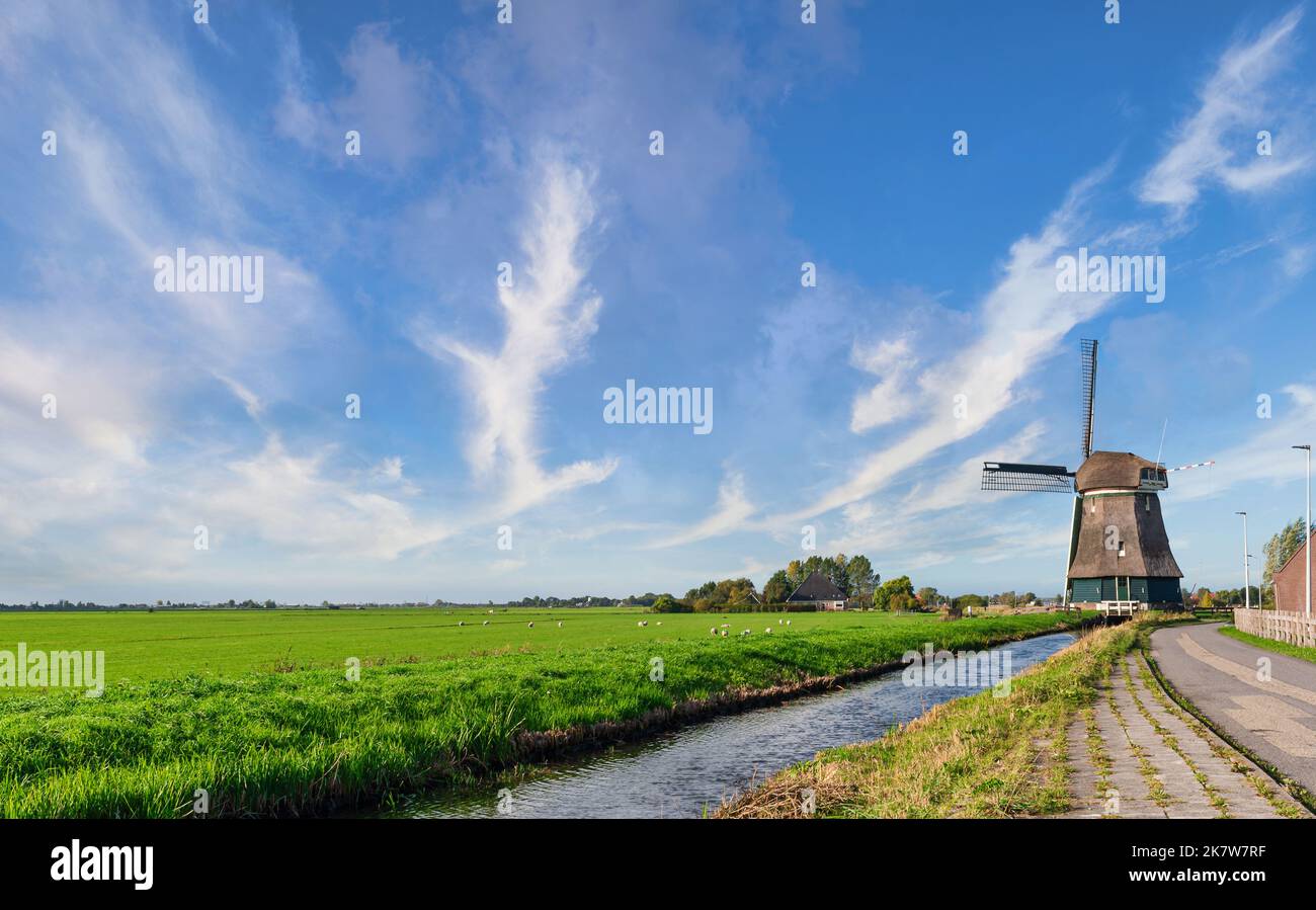 historic windmill in lush green dutch landscape under blue sky Stock Photo