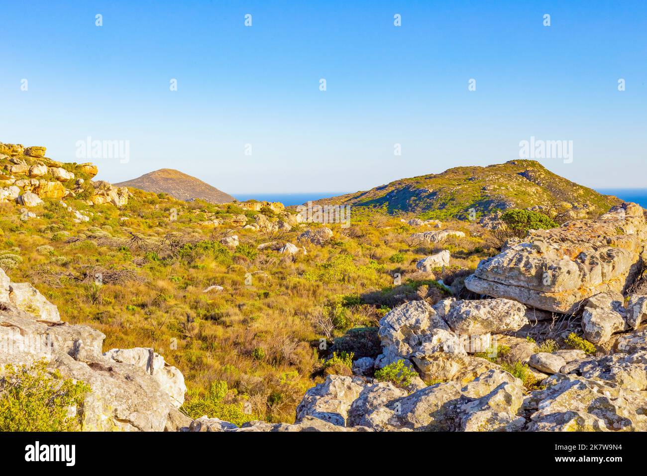 Coastal mountain landscape with fynbos flora in Cape Town, South Africa Stock Photo