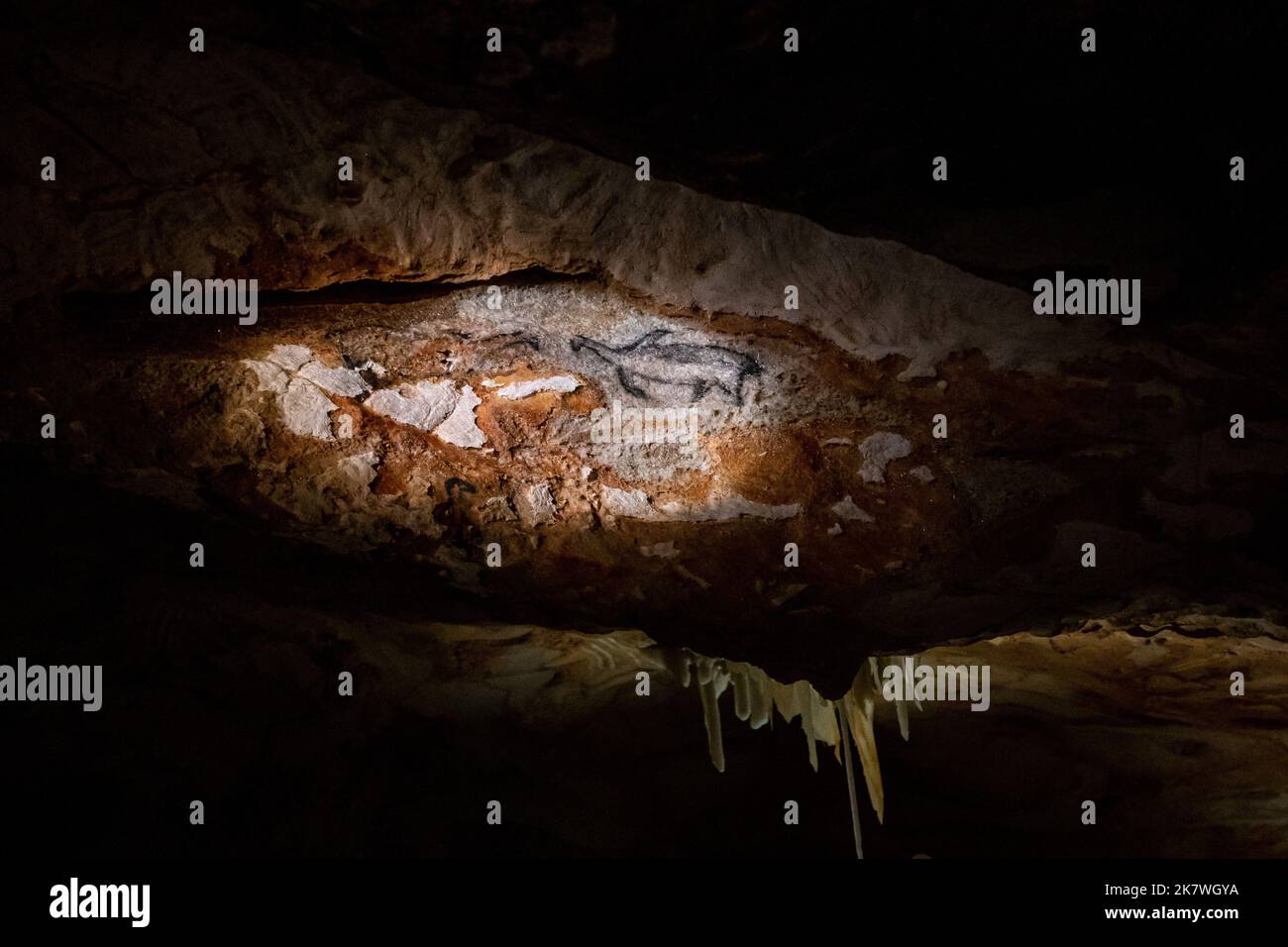 Marseille, France. 17th Oct, 2022. The prehistoric painting of a penguin is seen on the walls in the reconstruction of the Cosquer Cave installed in the Villa Mediterranee in Marseille. On October 17, the Southern Region and the company Kleber Rossillon, which operates the replica of the Cosquer Cave, open since June 2022, celebrated the 350,000th visitor. Among them, more than 40% come from the Provence-Alpes-Cote-d'Azur region. (Photo by Laurent Coust/SOPA Images/Sipa USA) Credit: Sipa USA/Alamy Live News Stock Photo