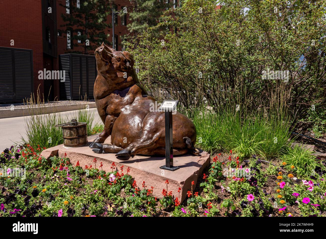 Colorado Springs, CO - July 6, 2022: 'Truffles', a bronze pig by Walt Horton is on South Tejon Street. Stock Photo