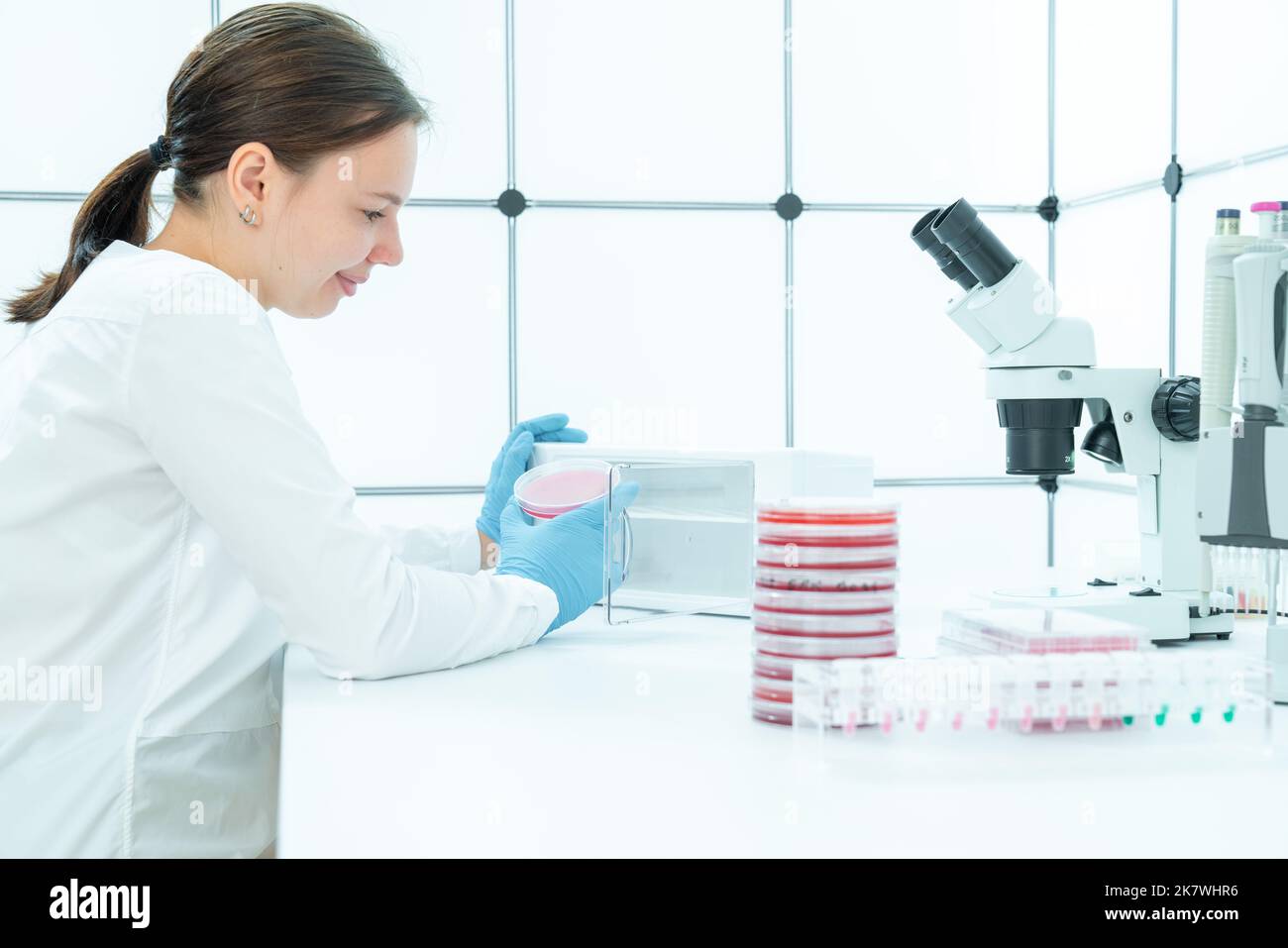 a young woman in a food quality control laboratory examines samples of
