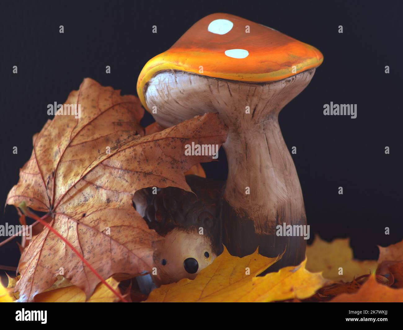 CONCEPT AUTUMN : AUTUMN DECORATION Stock Photo