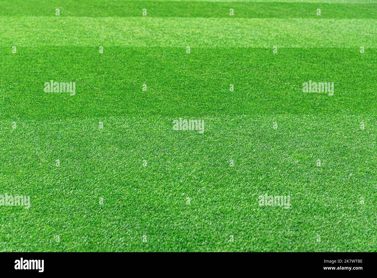Green grass as an abstract background Stock Photo - Alamy