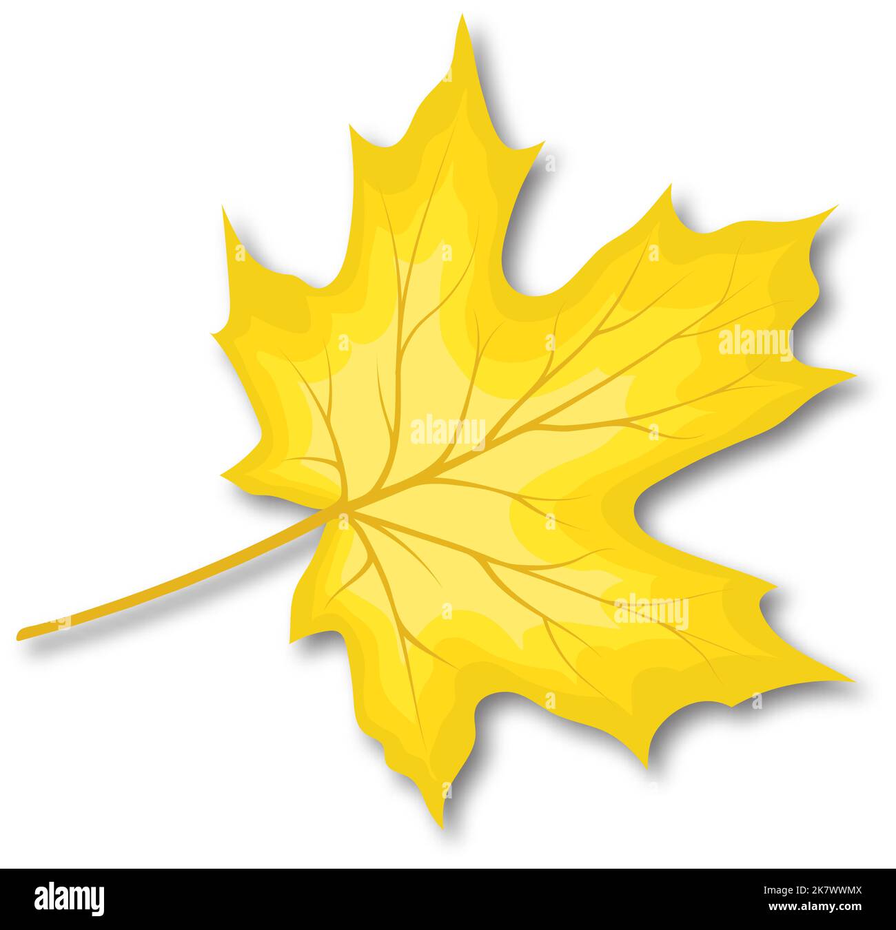 Autumn maple leaf. Fall leaf with shadow. Vector illustration Stock ...