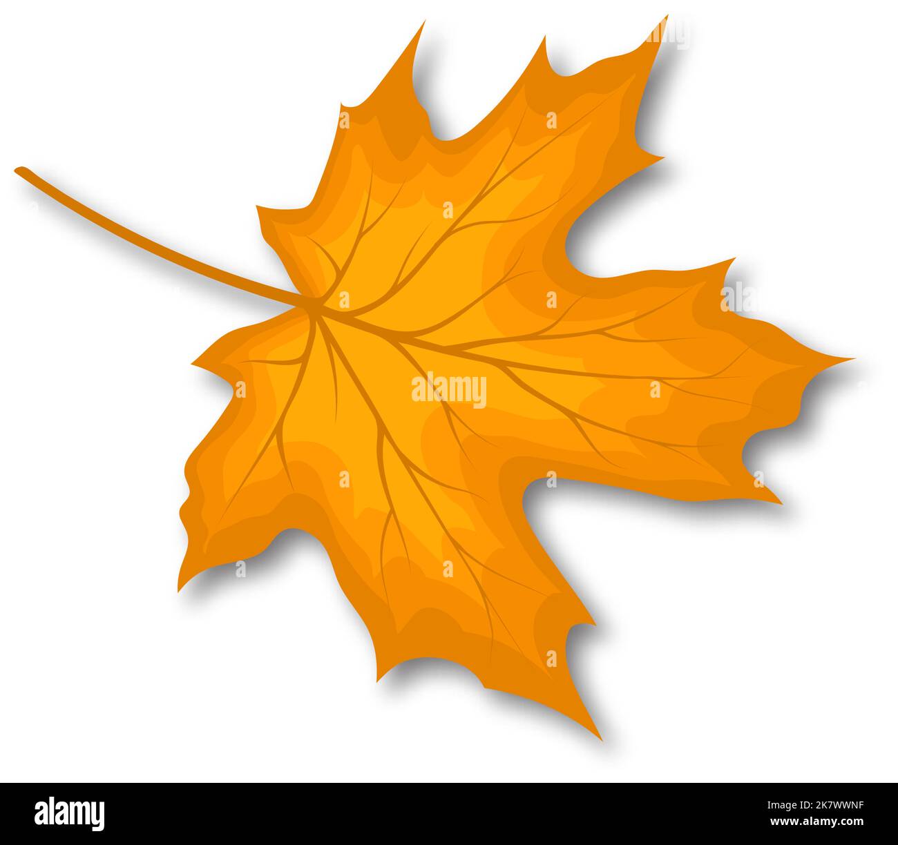 Autumn maple leaf. Fall leaf with shadow. Vector illustration Stock ...