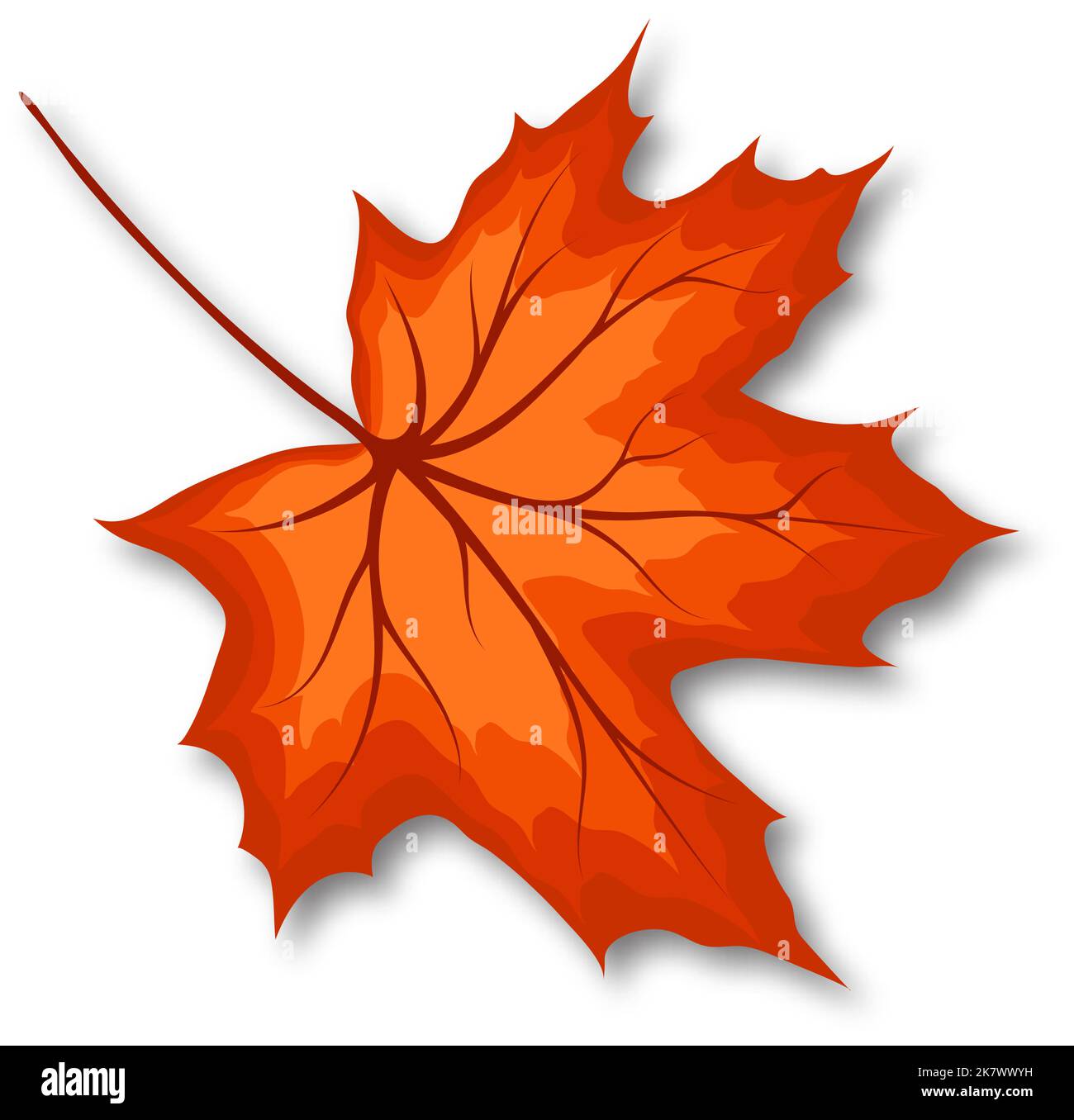 Autumn maple leaf. Fall leaf with shadow. Vector illustration Stock ...
