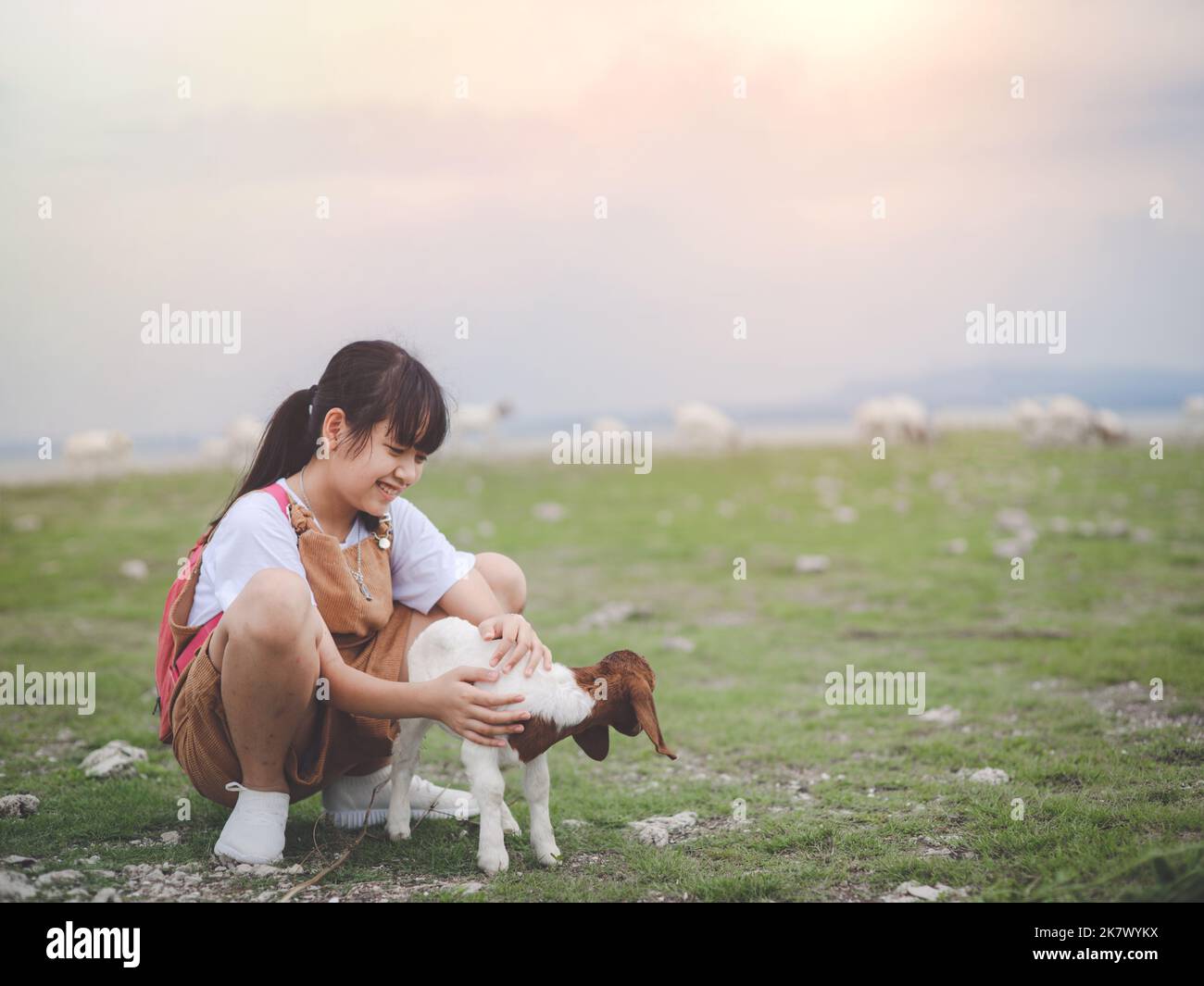 Asian girl feeding goats in a field with smiley face and happy.Concept