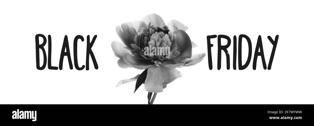 Black Friday sign on white background with peony banner. Black and white photo. Floral wide panoramic header. Shopping concept Stock Photo