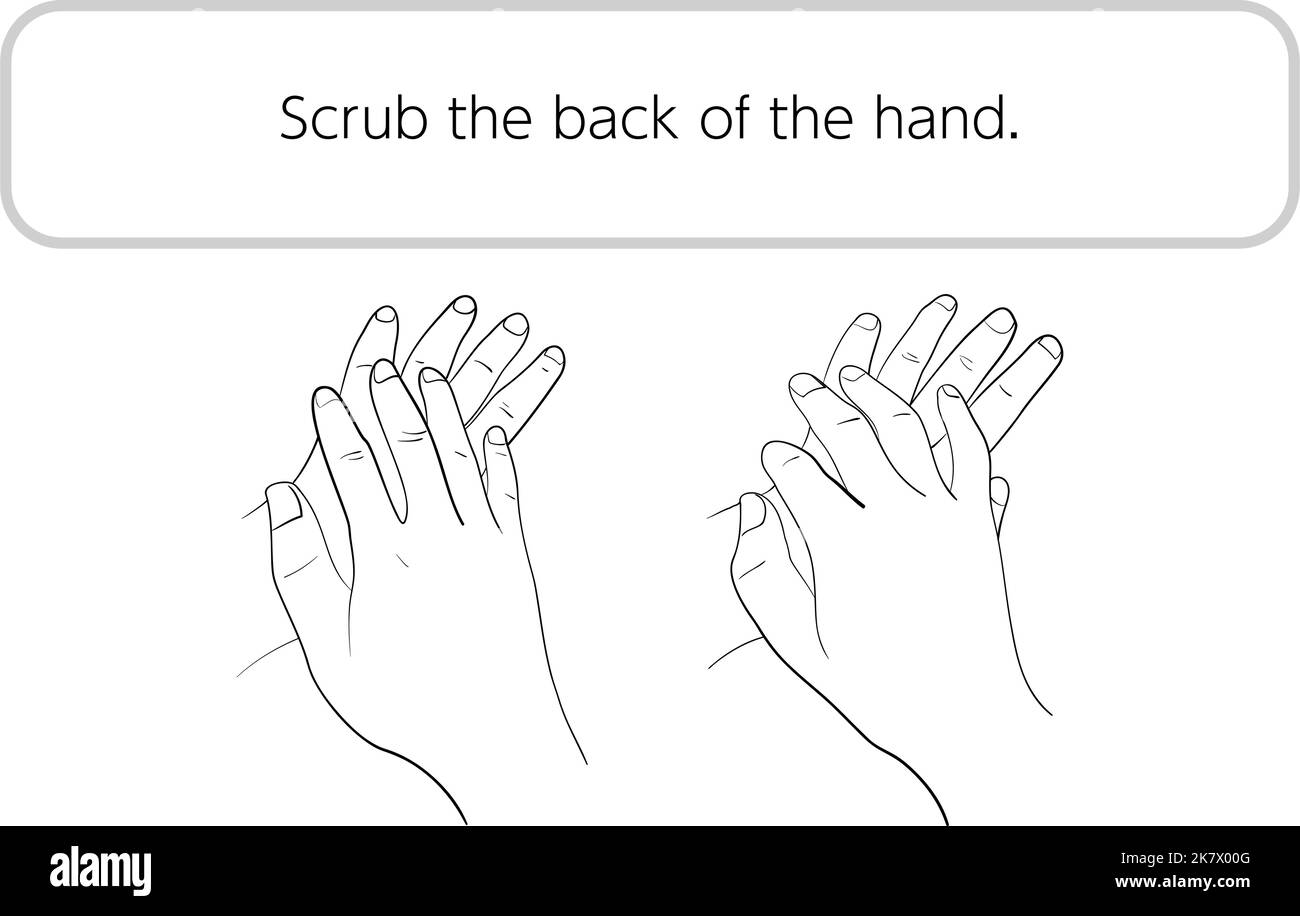 How to wash your hands correctly Stock Vector Image & Art Alamy