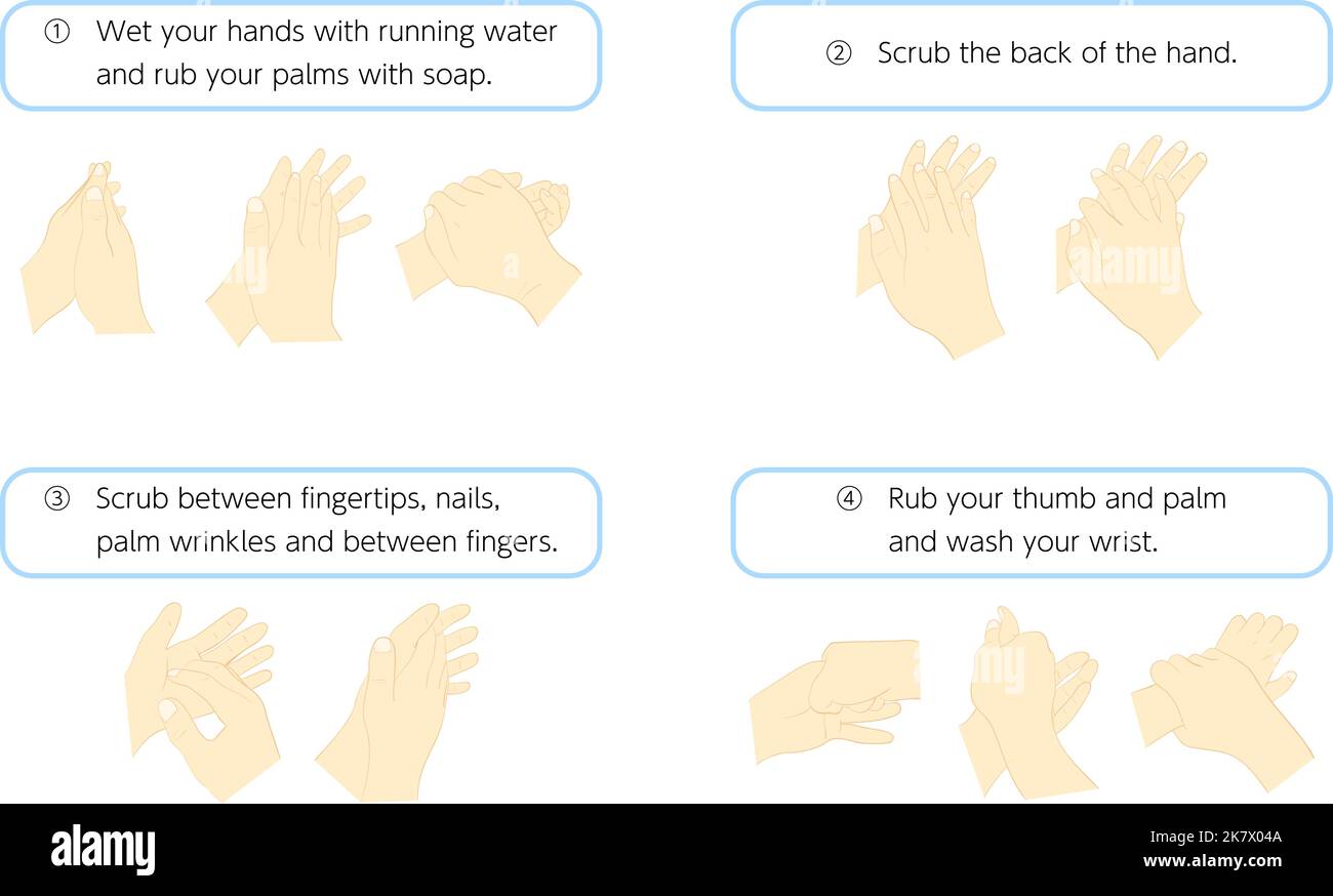 How to wash your hands correctly Stock Vector Image & Art - Alamy