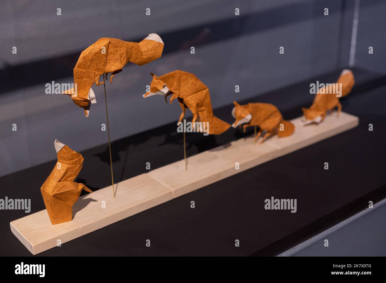 Beth Johnson origami artist exhibition at Emoz museum of the art of ...