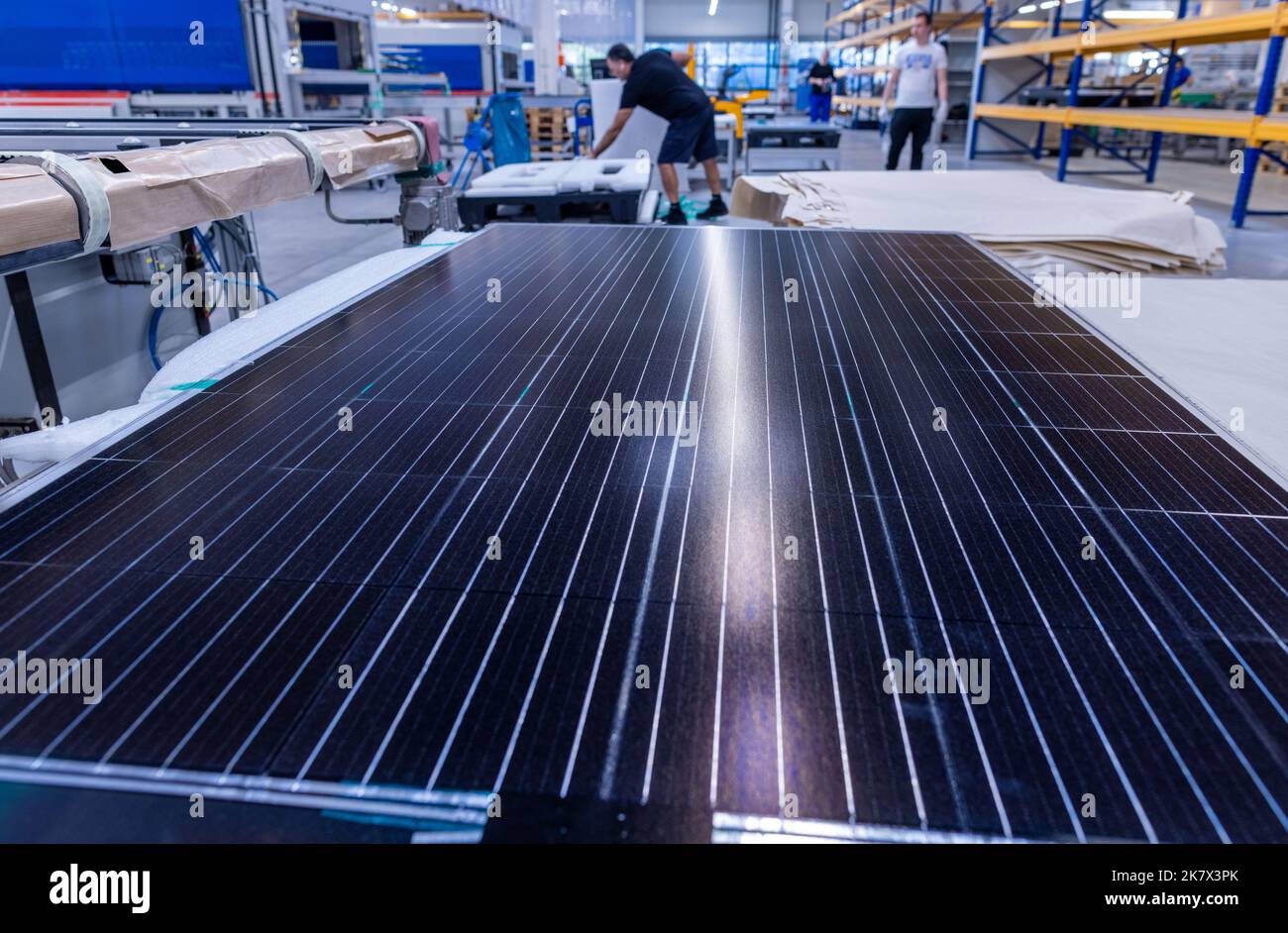 Wismar, Germany. 19th Oct, 2022. Employees of Sonnenstromfabrik CS assemble solar module. Centrosolar is one of the leading manufacturers of solar modules in Europe. The company, which has been operating since 2016, manufactures high-quality glass, foil and special modules with minimal CO2 emissions. Credit: Jens Büttner/dpa/Alamy Live News Stock Photo