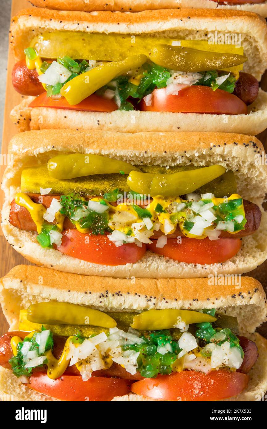 Homemade Chicago Style Hot Dogs with Tomato Onion and Peppers Stock
