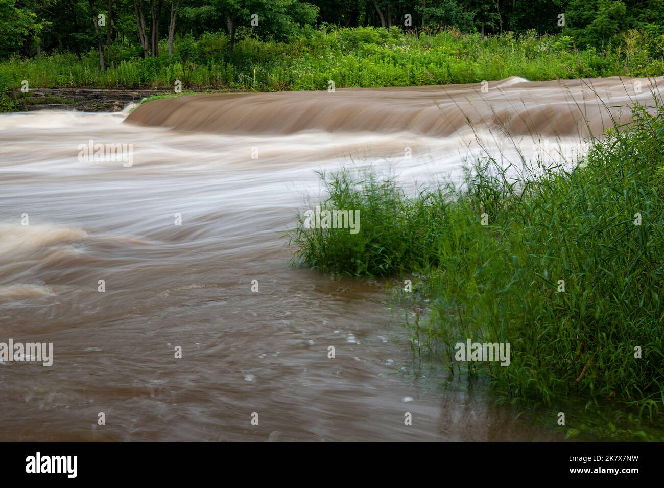 Prairie Creek roars through Des Plaines River State Fish & Wildlife