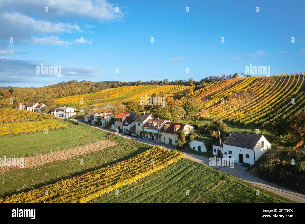 Enzersfeld in Weinviertel region during autumn. Vineyards and vine cellar road in Lower Austria. Stock Photo