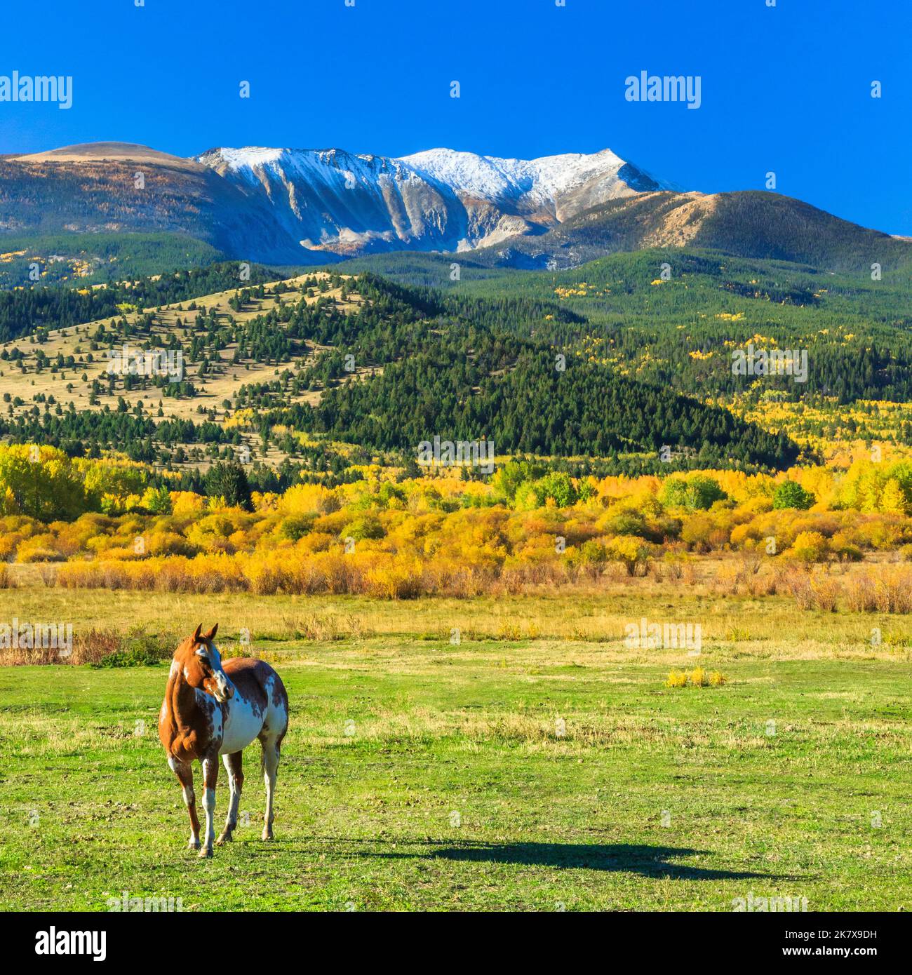 My Image 26