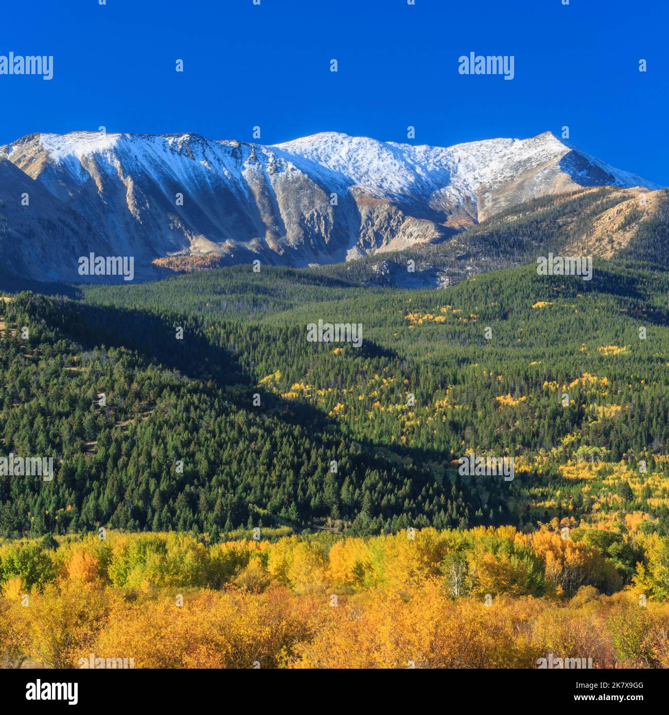 My Image 33