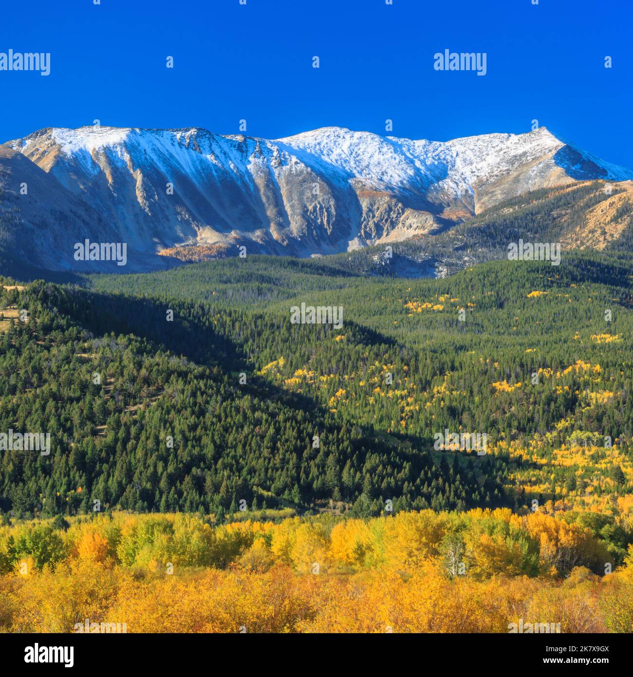 fall colors below mount haggin in the anaconda range near anaconda ...